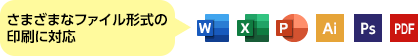 さまざまなファイル形式の印刷に対応