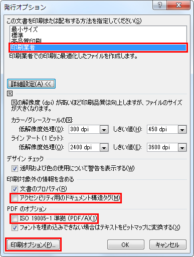 発行オプション