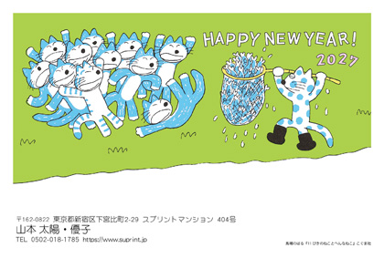 「11ぴきのねことへんなねこ」 N26701