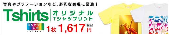 フルカラーTシャツ(多色・画像向け)